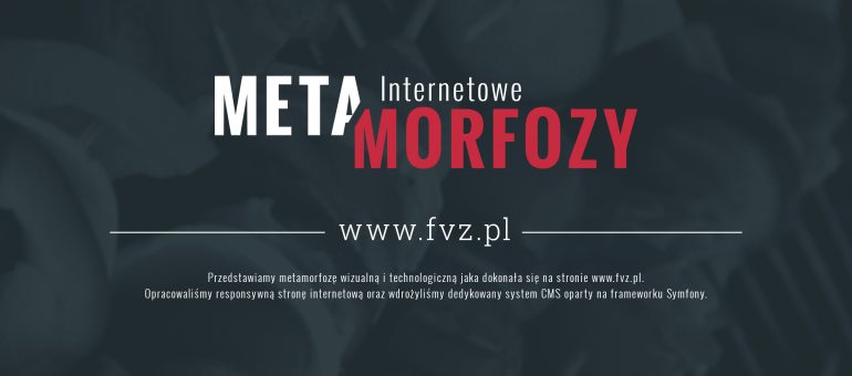 Metamorfoza strony fvz.pl