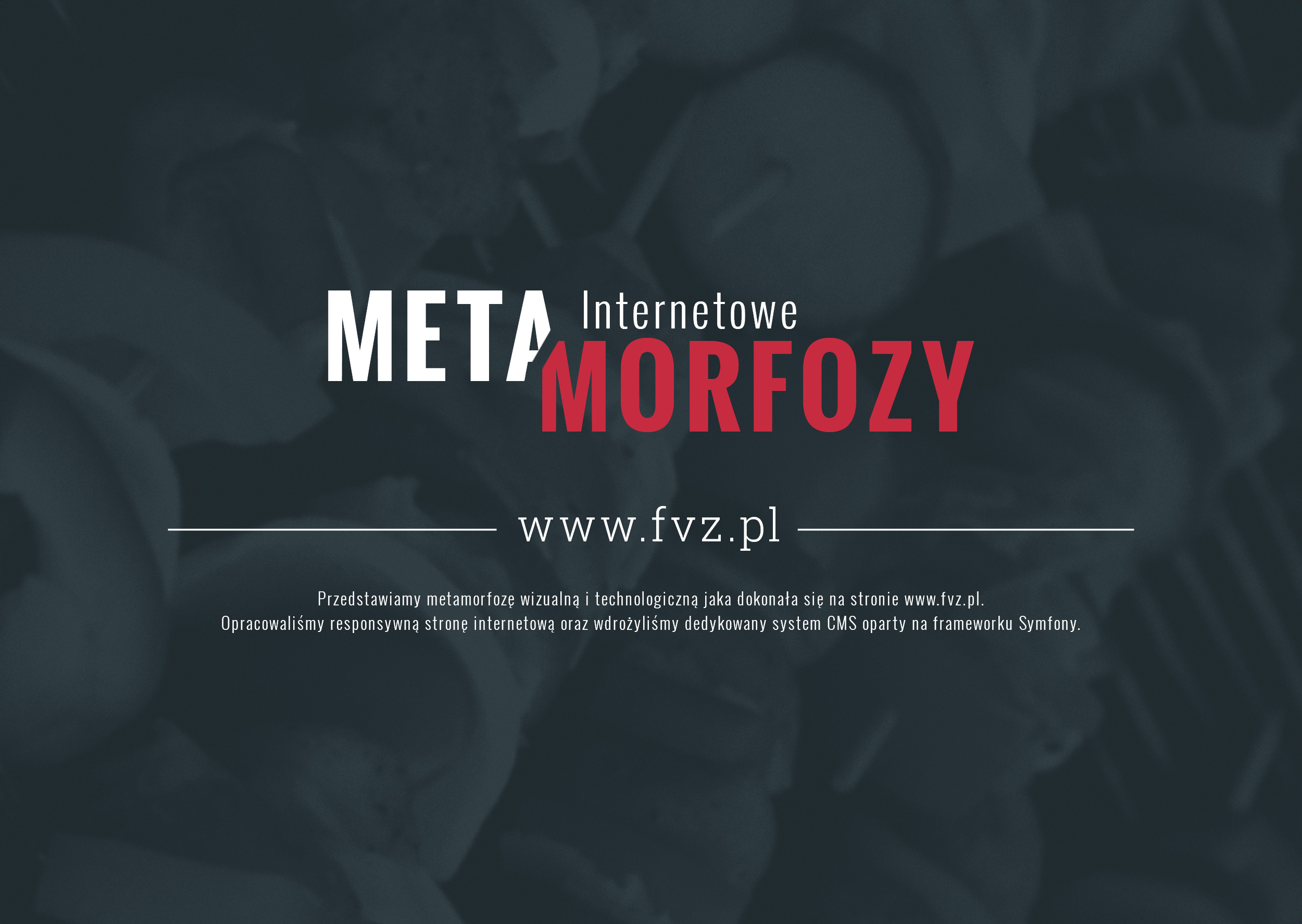 Metamorfoza strony fvz.pl